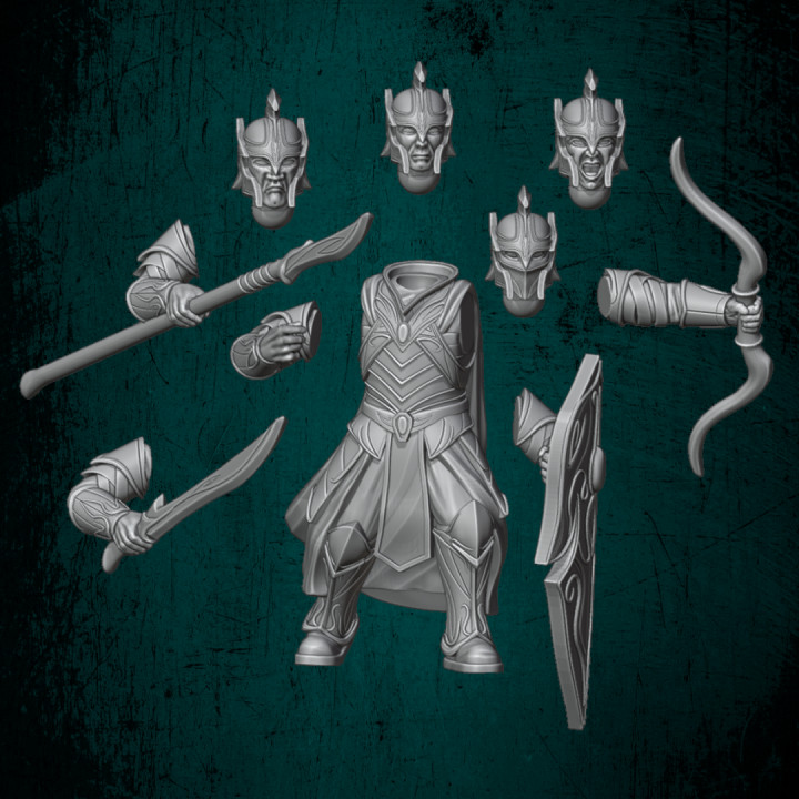 River Realm Elf Warriors (Modular Set) image