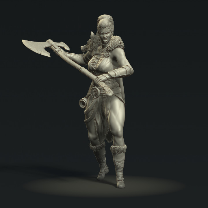 Viking Warrior Raider image
