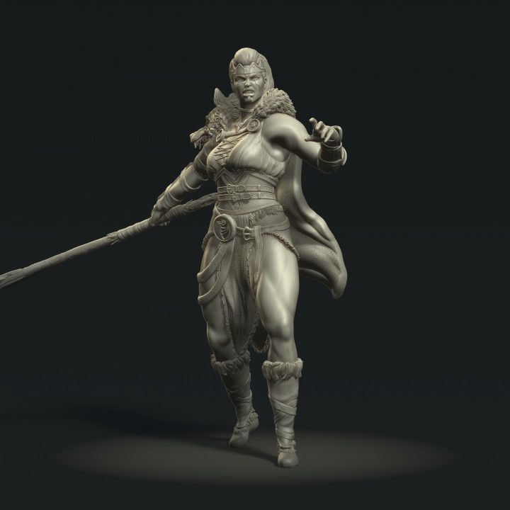 Viking Warrior Warleader image