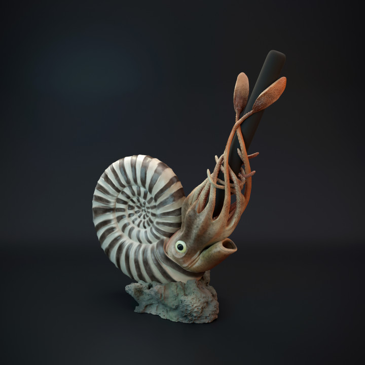 Ammonite pen holder - pre supported image