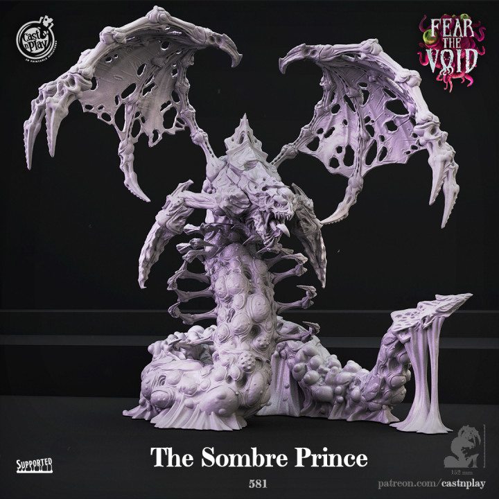 The Sombre Prince (Pre-Suppported) image