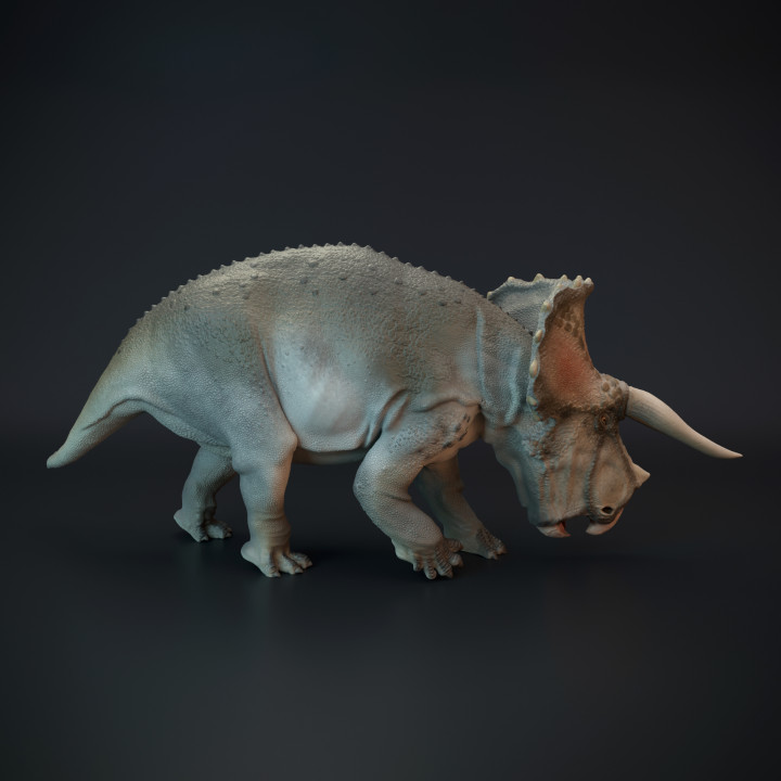 3D Printable Triceratops grazing dinosaur by Dino and Dog