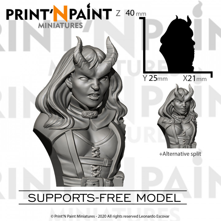 Rogue Tiefling Bust