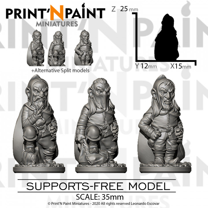 3 Gnome Thieves image