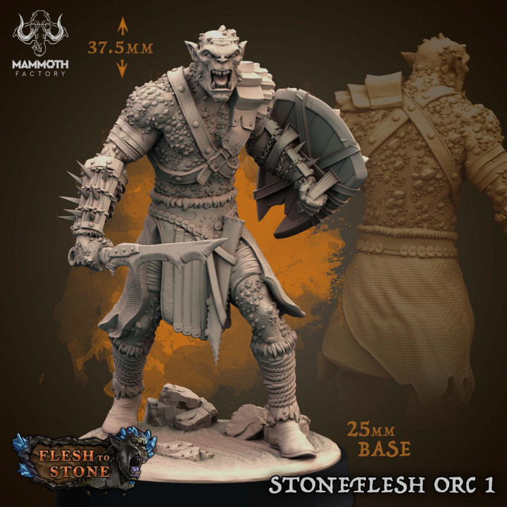 Stoneflesh Orcs Pack image