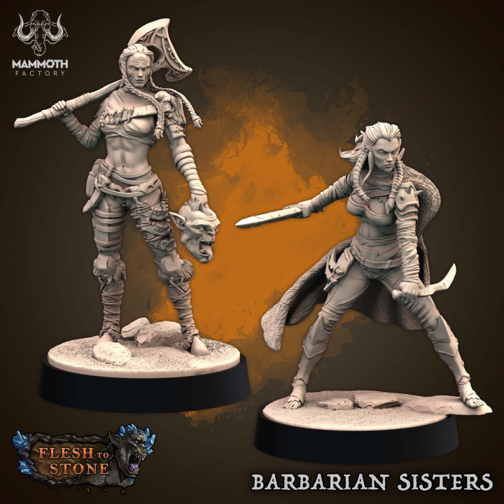 Barbarian Sisters (Valhya & Brynna) image