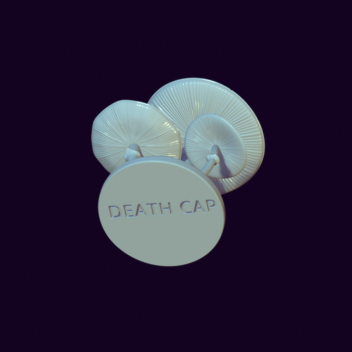 DEATH CAP TOY image