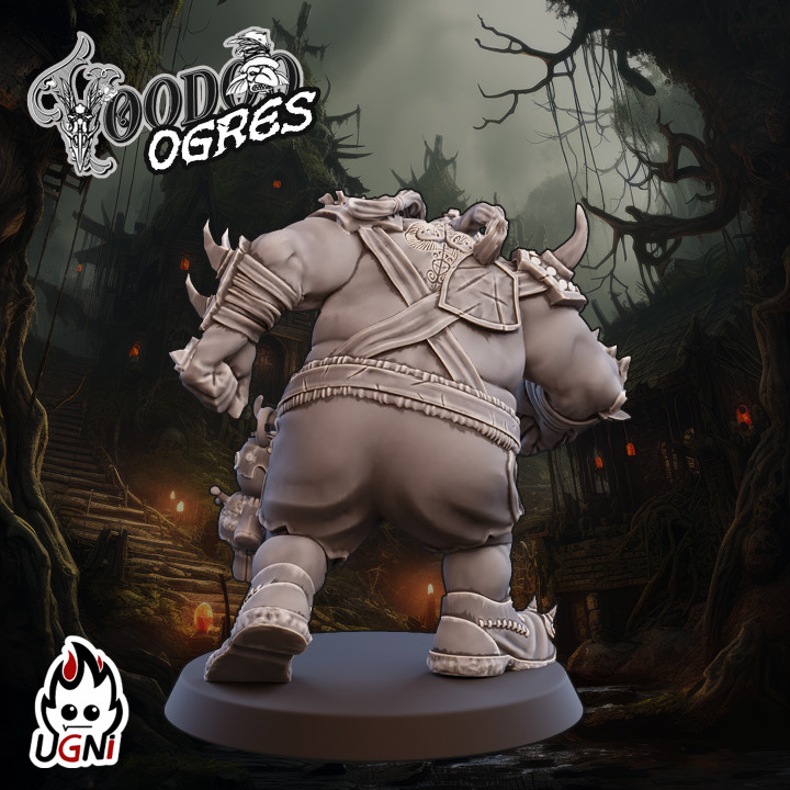 Ogre #5 - Ogre Team