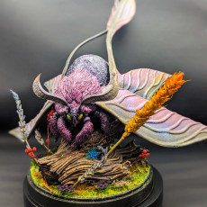 Picture of print of Giant Moth and Mothfolk Tamer - Eacles and Imperialis, Fidelium Shaman and Citheronia (Pre-supported)
