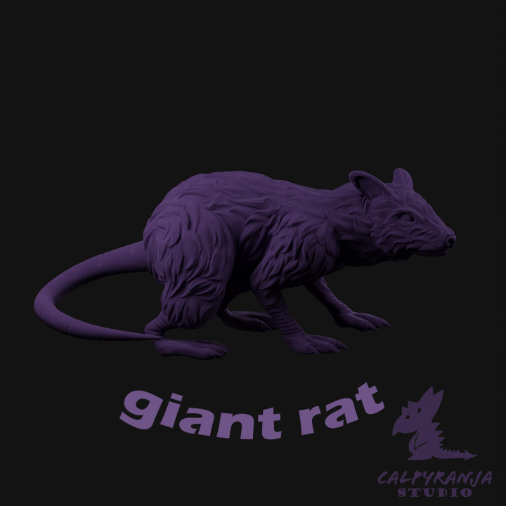 giant rat