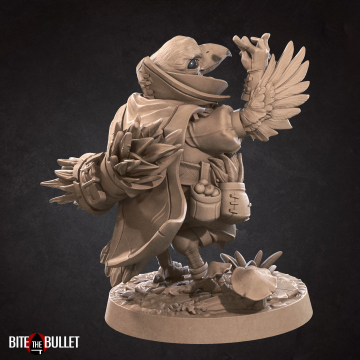 Berry, the Kenku Forager image