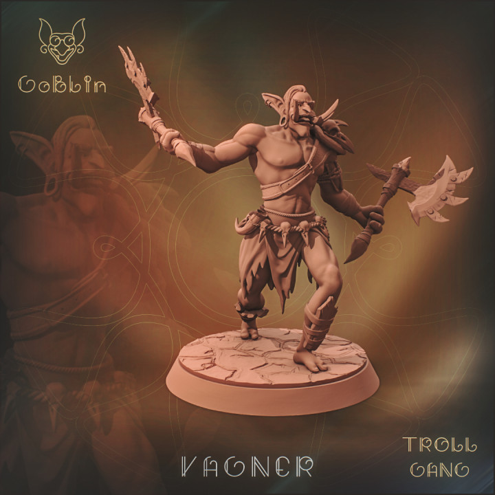 Troll Vagner - Troll Gang image