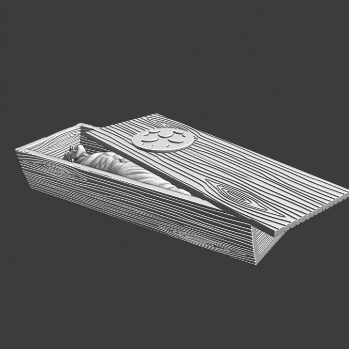 Dead crusader in coffin image