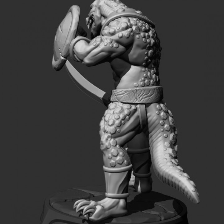 Lizard 2