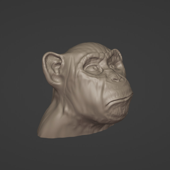 Chimpanzee Bust Head Statue Chimp