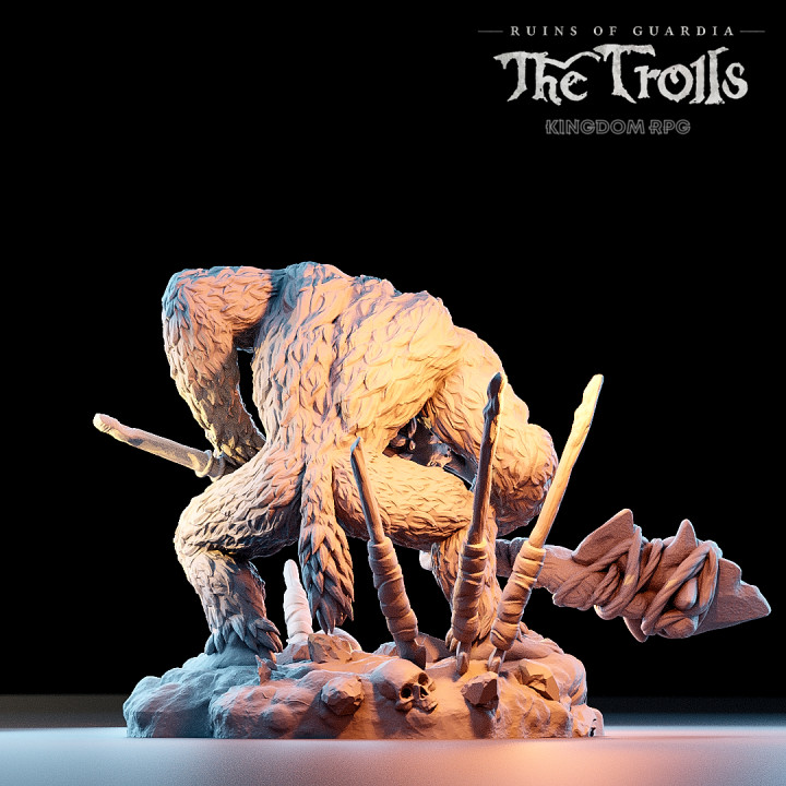 Zebajin, the Nosy Troll Guard - Ruins of Guardia: The Trolls image