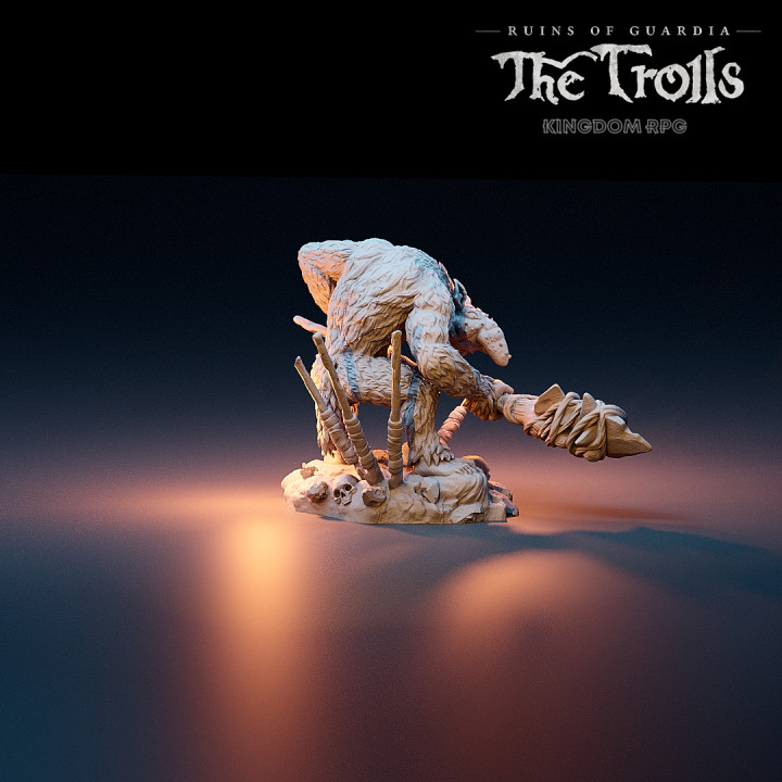 Zebajin, the Nosy Troll Guard - Ruins of Guardia: The Trolls image