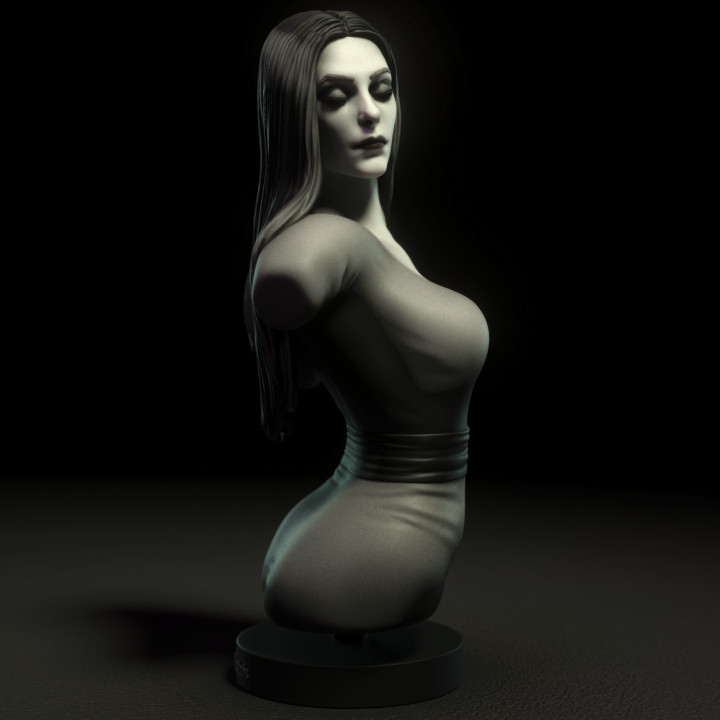 Practice Bust 2 image