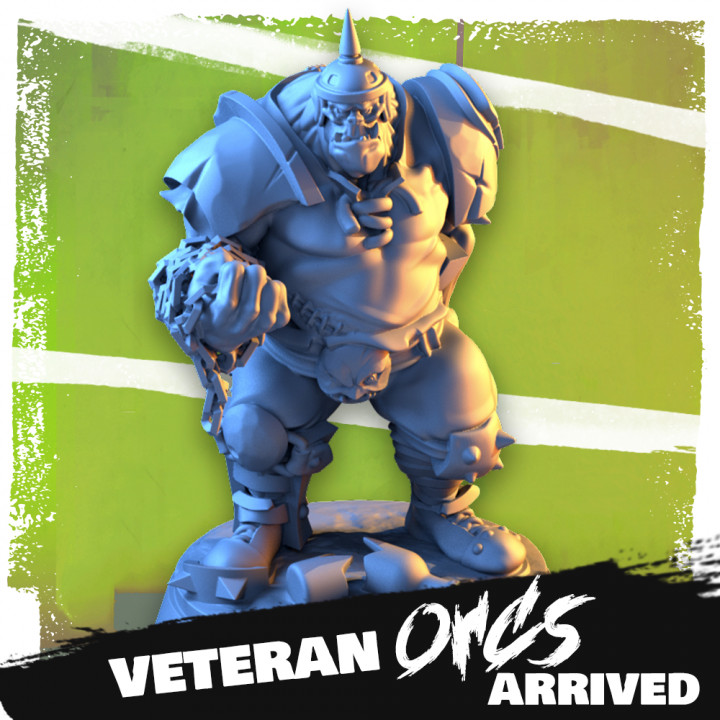 Veteran OrcS image