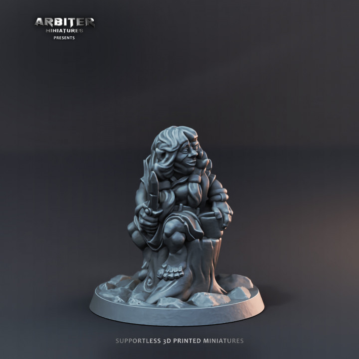 Arbiter Miniatures Kickstarter 3: Heroes of the Realm image
