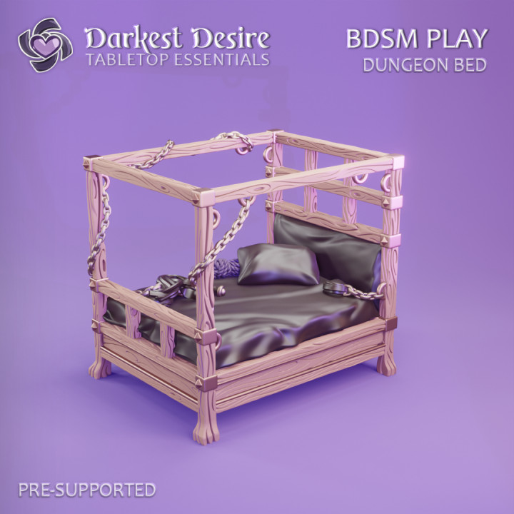 BDSM Play image
