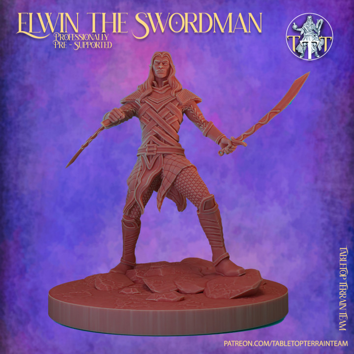 Elwin the Swordsman