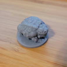 Picture of print of Giant toad