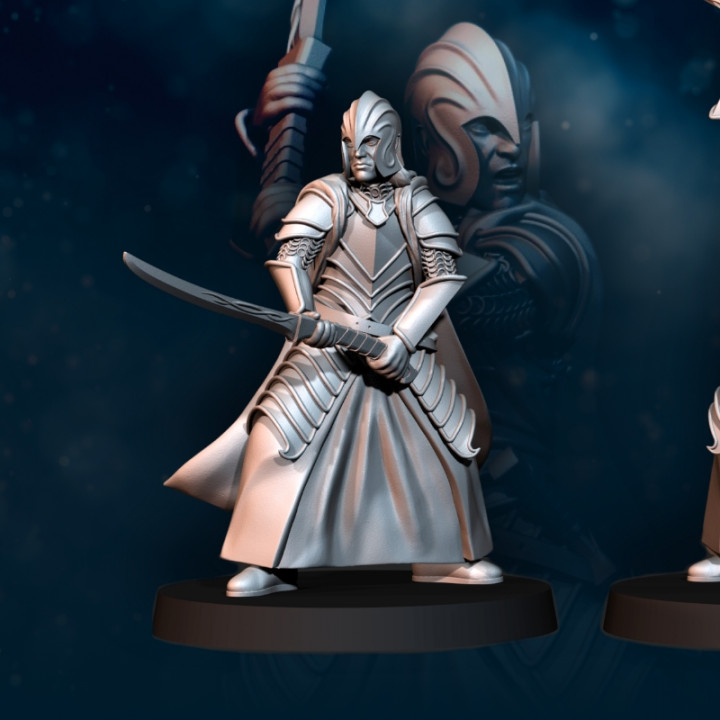 6x Bloody Elf Swordsman - Crest included | Bloody Elves | Davale Games | Fantasy image