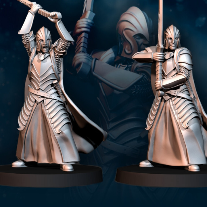 6x Bloody Elf Swordsman - Crest included | Bloody Elves | Davale Games | Fantasy image