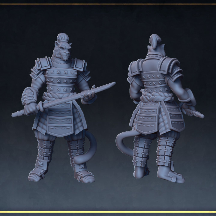 Tabaxi samurai image