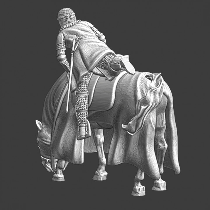 Medieval Knight dismounted his horse image