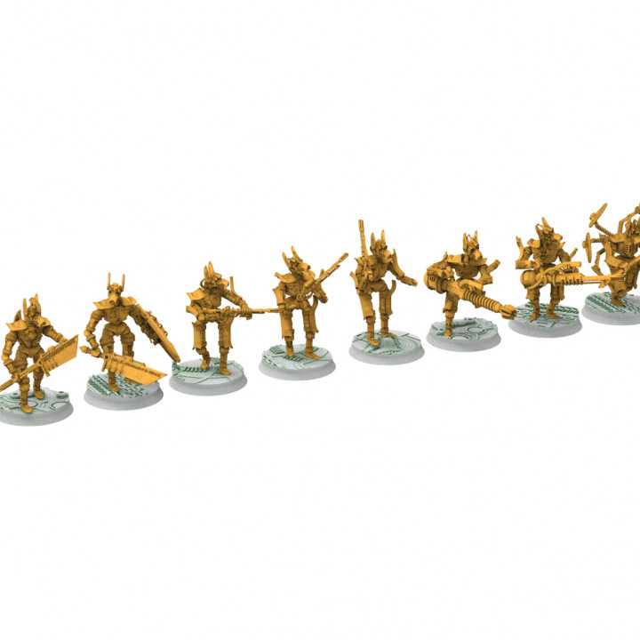 Anubis Drones, Cinan Haven main Infantry image