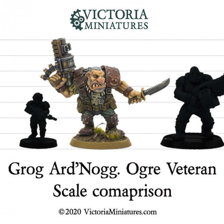 Grog Ard'Nogg Ogre Veteran