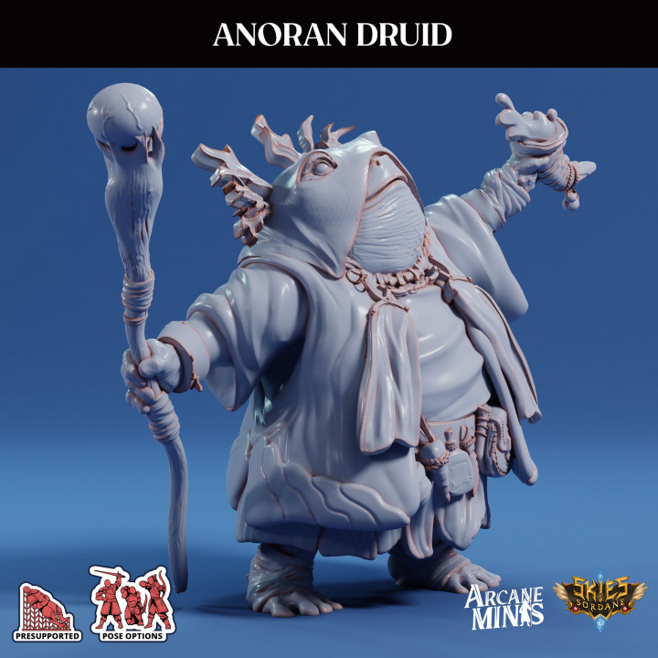 Anoran Druid image
