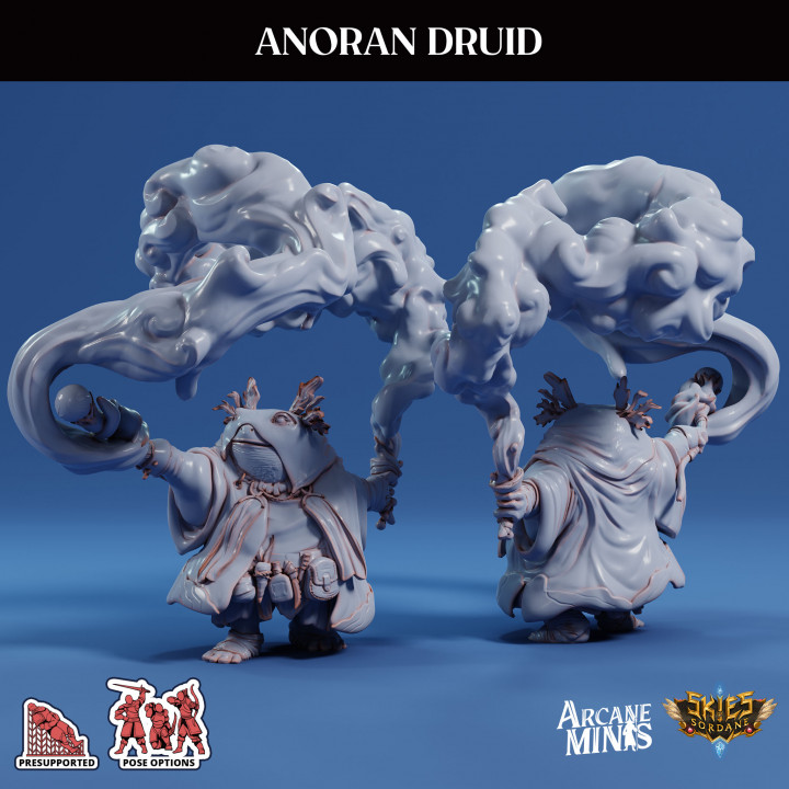 Anoran Druid image