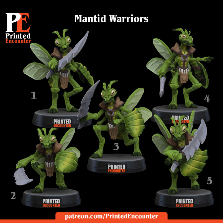 Mantid Warrior Set / Insect Creature image