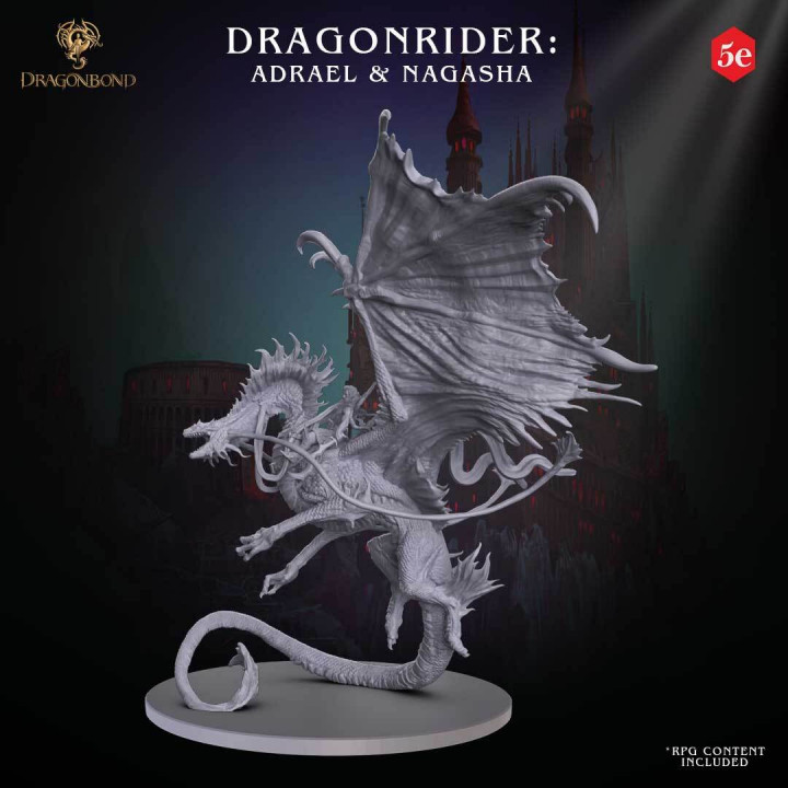 Dragonrider General: Adrael & Nagasha image