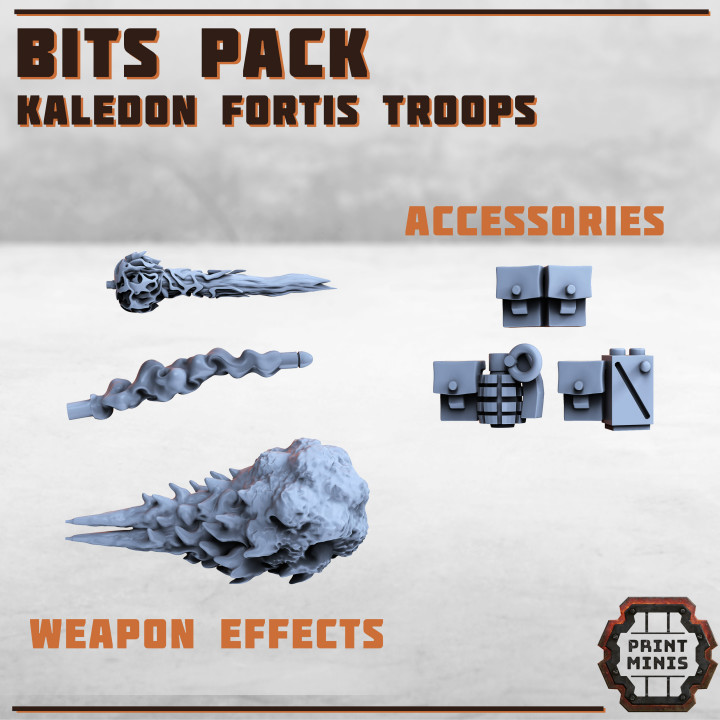 Bits Pack - Kaledon Fortis image