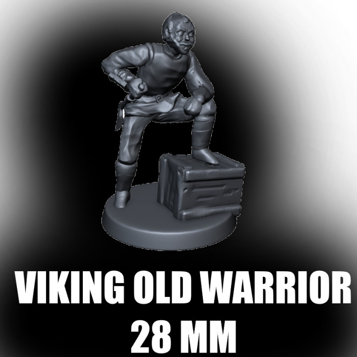 Viking Old Warrior Miniature (28mm) (test)