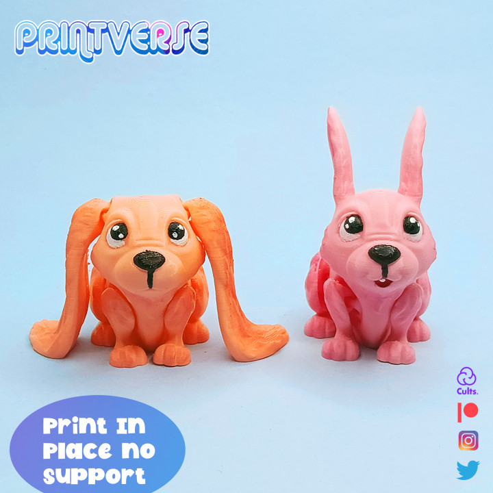 Flexy Bunnies Pair image