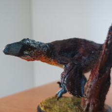 Picture of print of Utahraptor running 1-35 scale pre-supported dinosaur