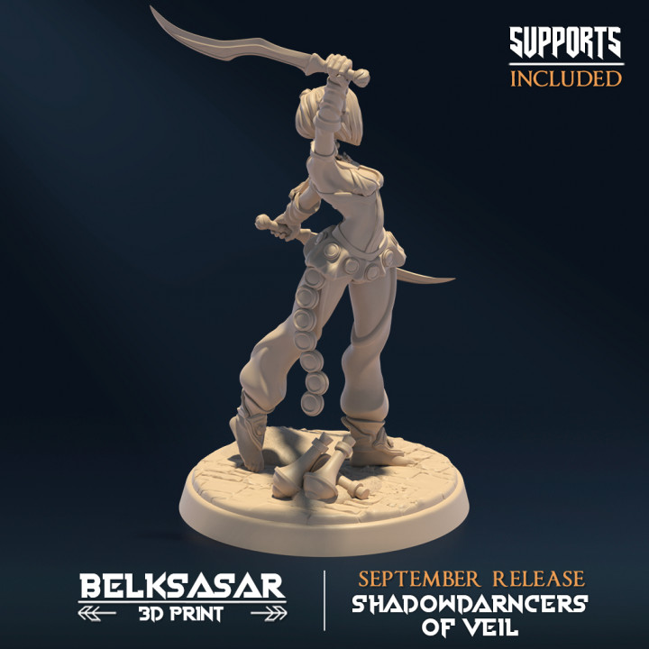 Shadowdancer of veil