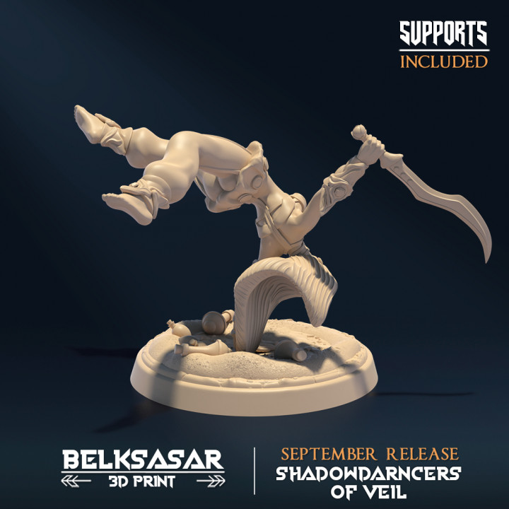 Shadowdancer of Veil B All Variant