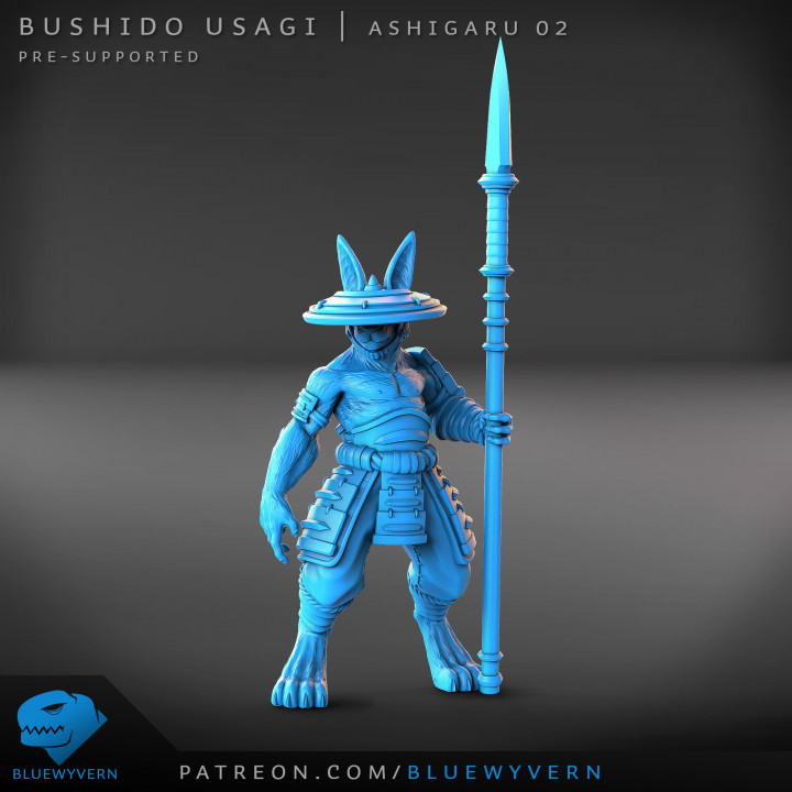 Bushido Usagi - Complete Set A image