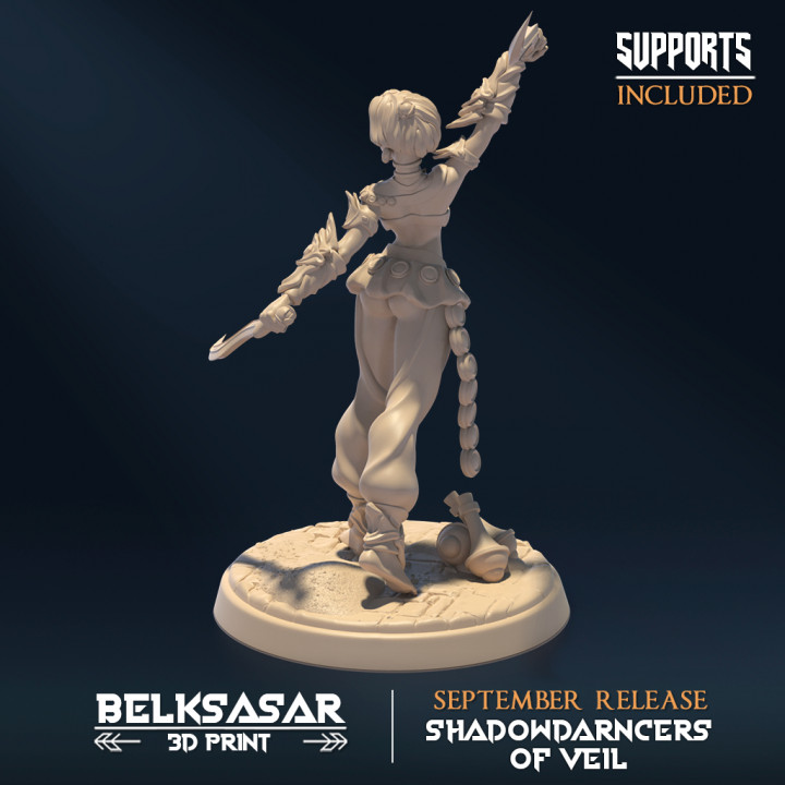 Shadowdancer of Veil Set x4 Variant 2