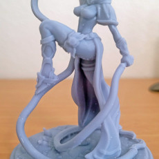 Picture of print of Shadowveil Assassin A Variant 2