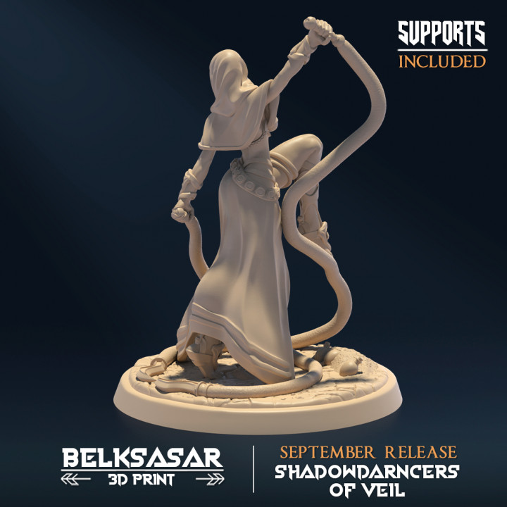 Shadowveil Assassin A All Variant