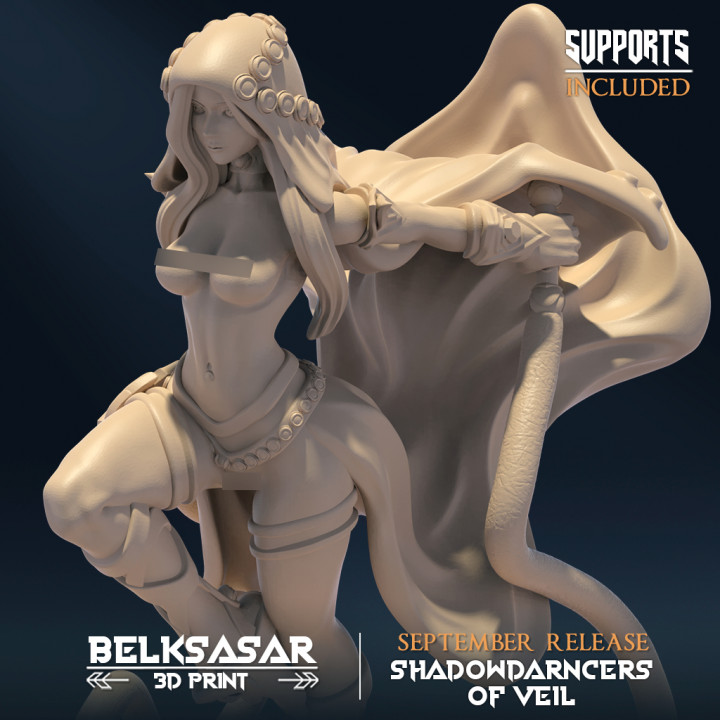 Shadowveil Assassin B Variant 2