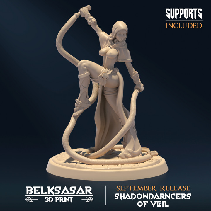 Shadowveil Assassin Set x4 Variant 2
