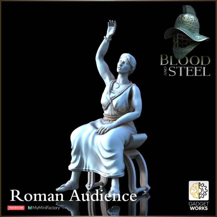 Roman Gladiator Audience - Blood and Steel image